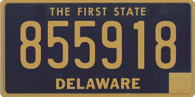 DE license plate 855918