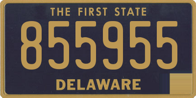 DE license plate 855955