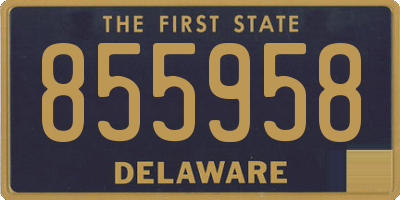 DE license plate 855958
