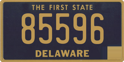 DE license plate 85596