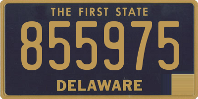 DE license plate 855975