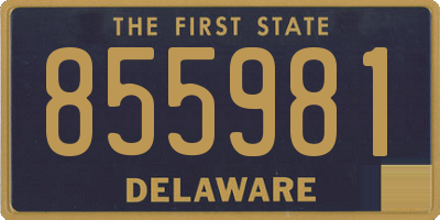 DE license plate 855981
