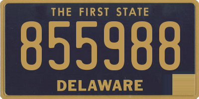 DE license plate 855988