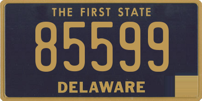 DE license plate 85599