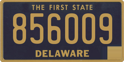 DE license plate 856009