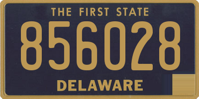 DE license plate 856028