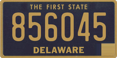 DE license plate 856045
