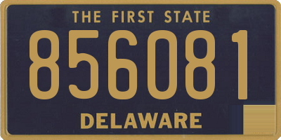 DE license plate 856081