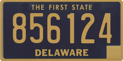 DE license plate 856124