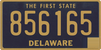 DE license plate 856165
