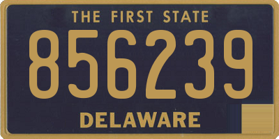 DE license plate 856239