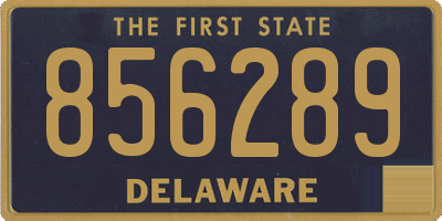 DE license plate 856289