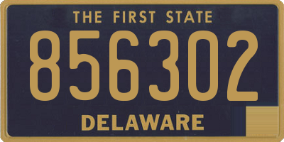 DE license plate 856302
