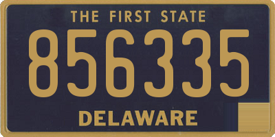 DE license plate 856335