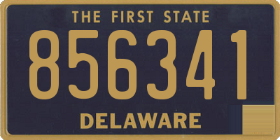 DE license plate 856341