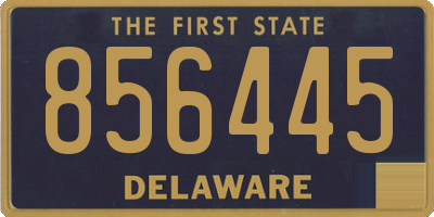 DE license plate 856445