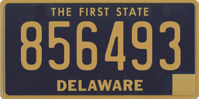 DE license plate 856493