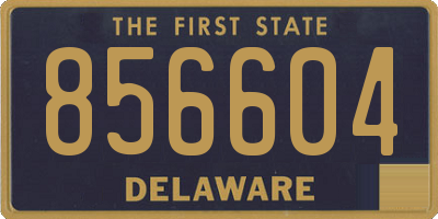 DE license plate 856604
