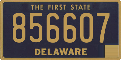 DE license plate 856607