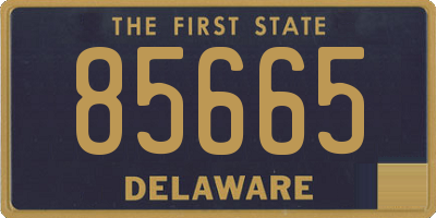 DE license plate 85665