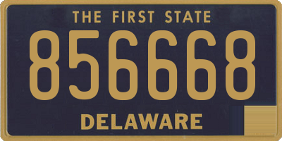 DE license plate 856668
