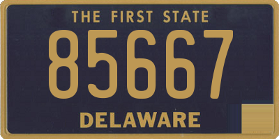 DE license plate 85667