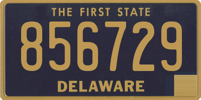 DE license plate 856729