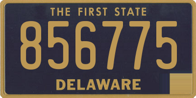 DE license plate 856775