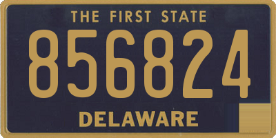 DE license plate 856824