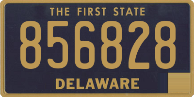 DE license plate 856828