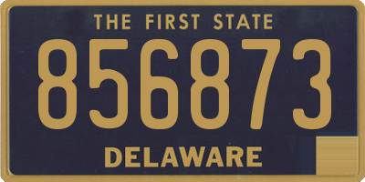 DE license plate 856873