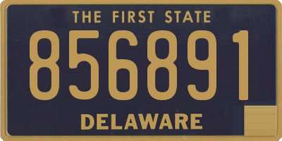 DE license plate 856891