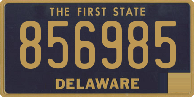 DE license plate 856985