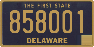 DE license plate 858001