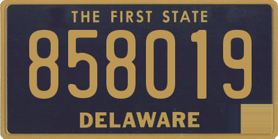 DE license plate 858019