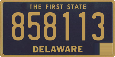 DE license plate 858113