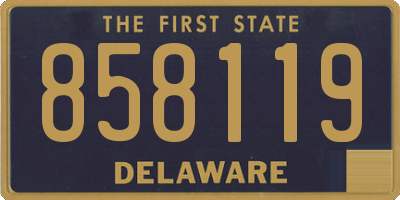 DE license plate 858119