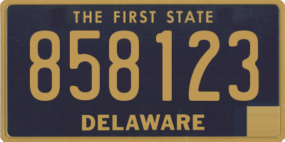 DE license plate 858123