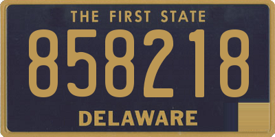 DE license plate 858218