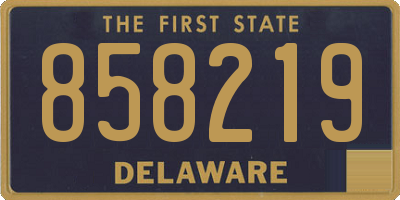 DE license plate 858219