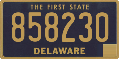 DE license plate 858230