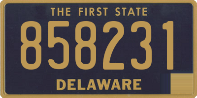 DE license plate 858231