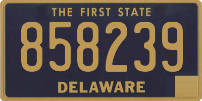 DE license plate 858239