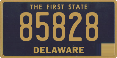 DE license plate 85828