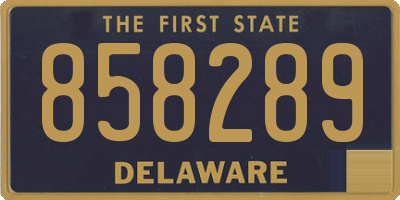 DE license plate 858289