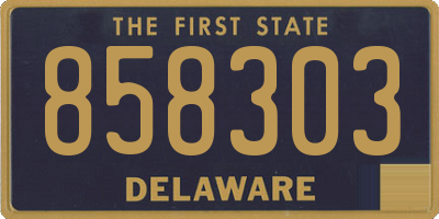 DE license plate 858303