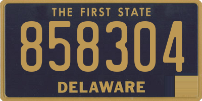DE license plate 858304