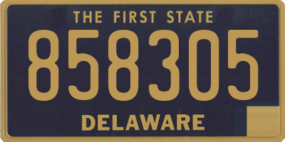 DE license plate 858305