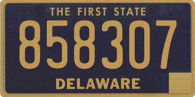 DE license plate 858307