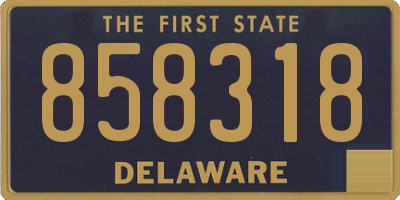 DE license plate 858318